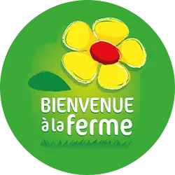 Visitez le site